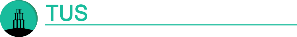 logo crm tusprofesional.es